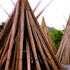 Natural Drying