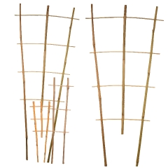 Bamboo Trellises 