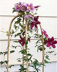 Bamboo U-forms Usage