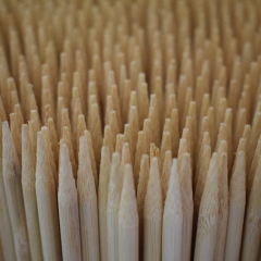 Flower Sticks / Split Bamboo