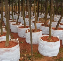 Planting Bags Usage